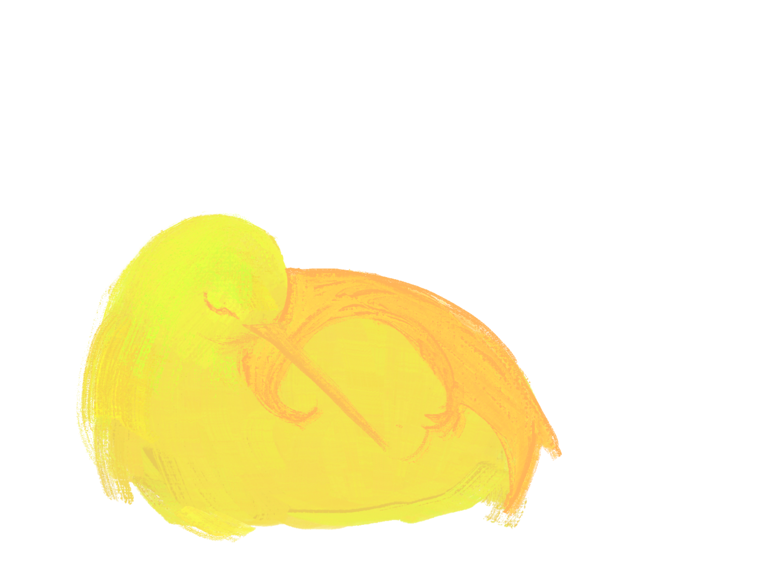 Kiwi Bird